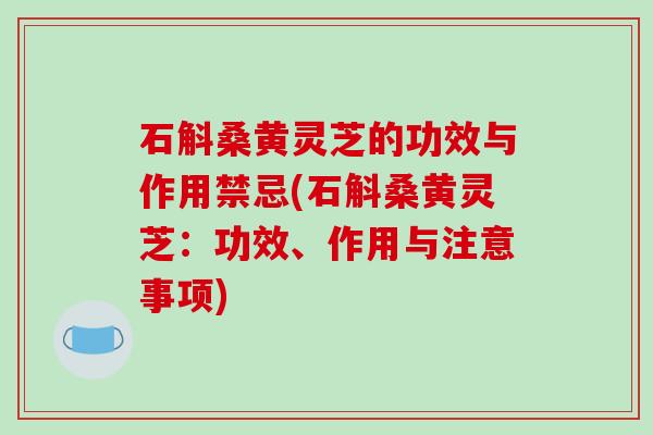 石斛桑黄灵芝的功效与作用禁忌(石斛桑黄灵芝：功效、作用与注意事项)