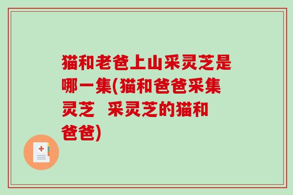 猫和老爸上山采灵芝是哪一集(猫和爸爸采集灵芝  采灵芝的猫和爸爸)