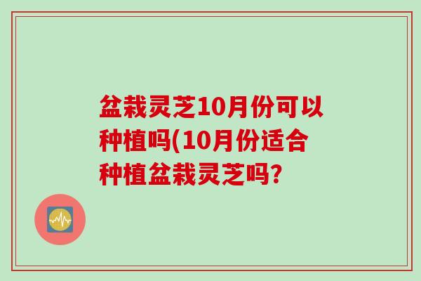 盆栽灵芝10月份可以种植吗(10月份适合种植盆栽灵芝吗？