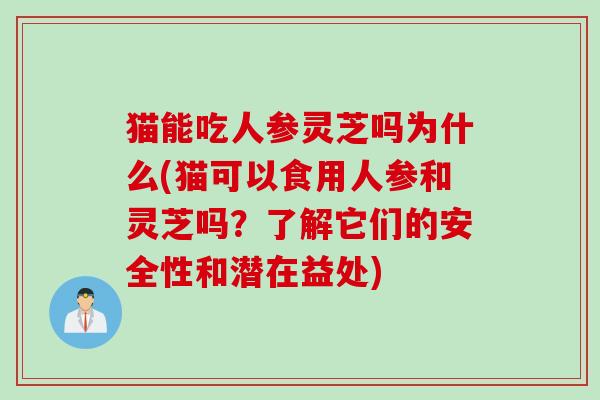 猫能吃人参灵芝吗为什么(猫可以食用人参和灵芝吗？了解它们的安全性和潜在益处)