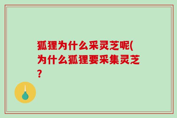 狐狸为什么采灵芝呢(为什么狐狸要采集灵芝？