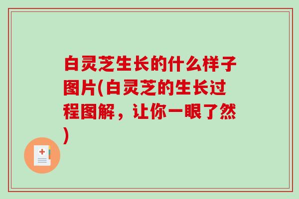 白灵芝生长的什么样子图片(白灵芝的生长过程图解，让你一眼了然)