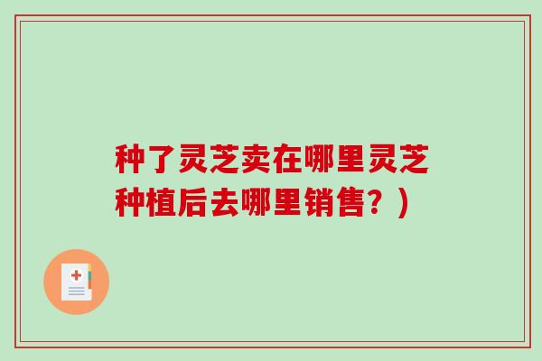 种了灵芝卖在哪里灵芝种植后去哪里销售？)