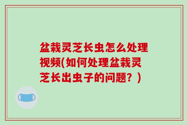 盆栽灵芝长虫怎么处理视频(如何处理盆栽灵芝长出虫子的问题？)