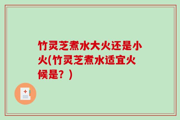 竹灵芝煮水大火还是小火(竹灵芝煮水适宜火候是？)