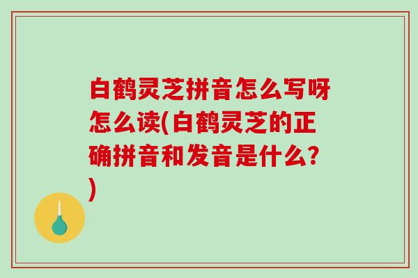 白鹤灵芝拼音怎么写呀怎么读(白鹤灵芝的正确拼音和发音是什么？)