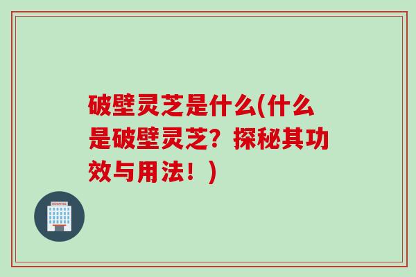 破壁灵芝是什么(什么是破壁灵芝？探秘其功效与用法！)