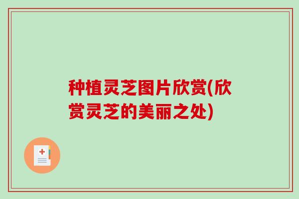 种植灵芝图片欣赏(欣赏灵芝的美丽之处) 种植灵芝图片欣赏(欣赏灵芝的美丽之处)
