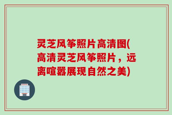 灵芝风筝照片高清图(高清灵芝风筝照片，远离喧嚣展现自然之美)