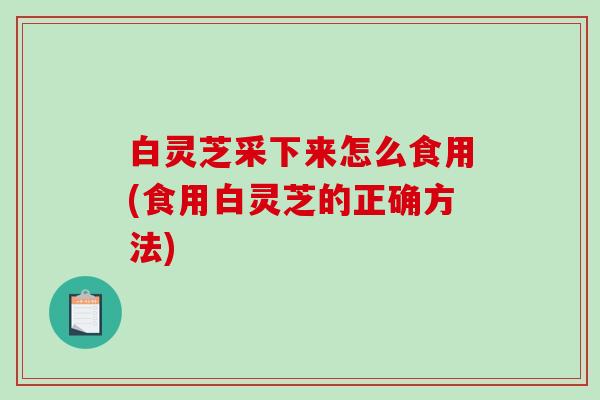 白灵芝采下来怎么食用(食用白灵芝的正确方法)