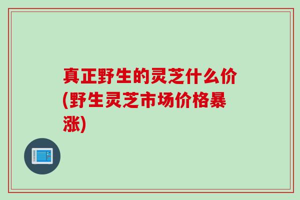 真正野生的灵芝什么价(野生灵芝市场价格暴涨)