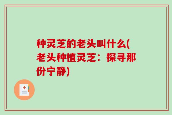种灵芝的老头叫什么(老头种植灵芝：探寻那份宁静)