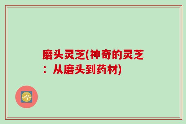磨头灵芝(神奇的灵芝：从磨头到药材)