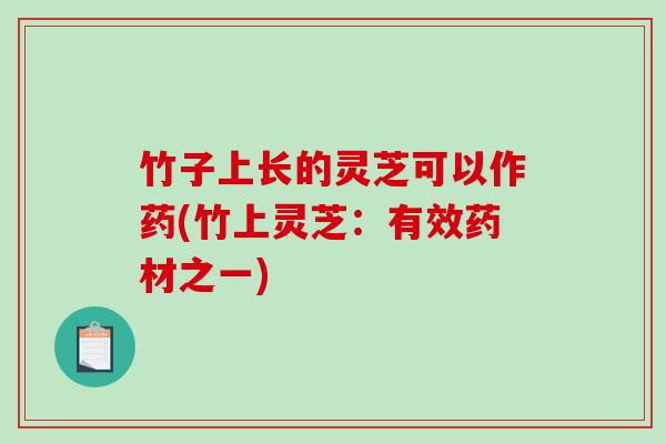 竹子上长的灵芝可以作药(竹上灵芝：有效药材之一)