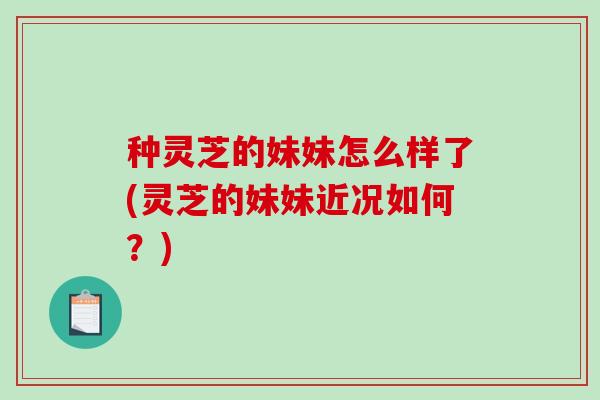 种灵芝的妹妹怎么样了(灵芝的妹妹近况如何？)