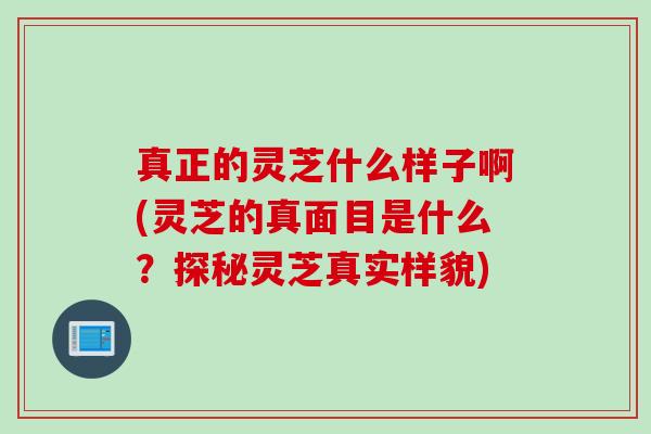 真正的灵芝什么样子啊(灵芝的真面目是什么？探秘灵芝真实样貌)