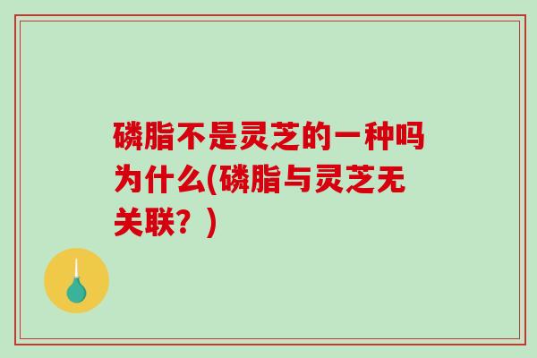 磷脂不是灵芝的一种吗为什么(磷脂与灵芝无关联？)