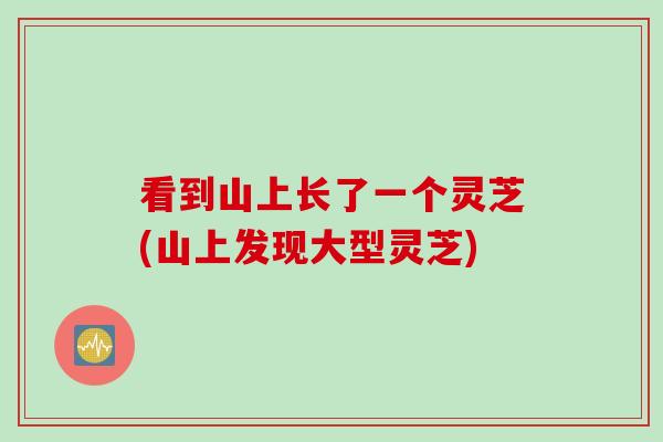 看到山上长了一个灵芝(山上发现大型灵芝)