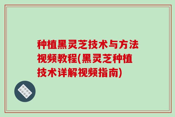 种植黑灵芝技术与方法视频教程(黑灵芝种植技术详解视频指南)