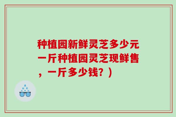 种植园新鲜灵芝多少元一斤种植园灵芝现鲜售，一斤多少钱？)