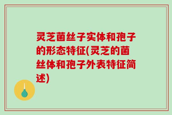 灵芝菌丝子实体和孢子的形态特征(灵芝的菌丝体和孢子外表特征简述)