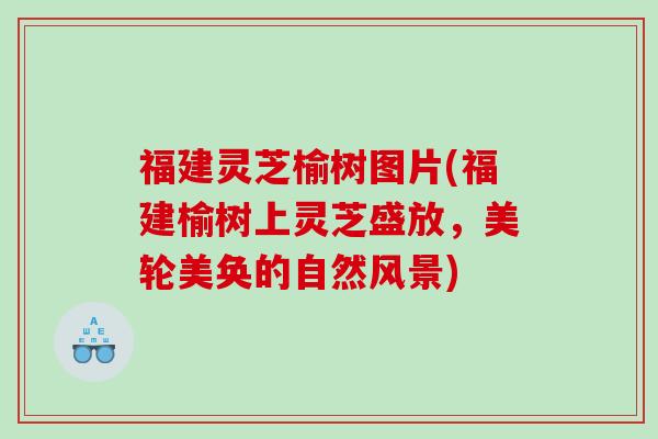 福建灵芝榆树图片(福建榆树上灵芝盛放，美轮美奂的自然风景)