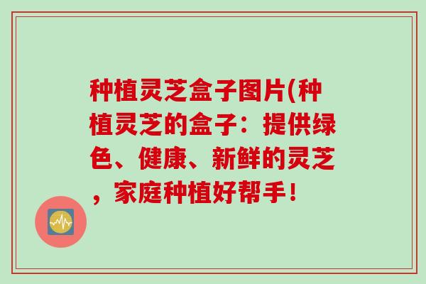 种植灵芝盒子图片(种植灵芝的盒子：提供绿色、健康、新鲜的灵芝，家庭种植好帮手！