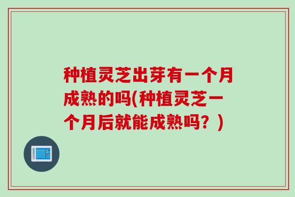 种植灵芝出芽有一个月成熟的吗(种植灵芝一个月后就能成熟吗？)
