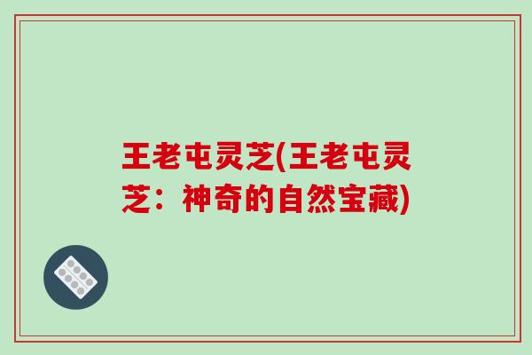 王老屯灵芝(王老屯灵芝：神奇的自然宝藏)