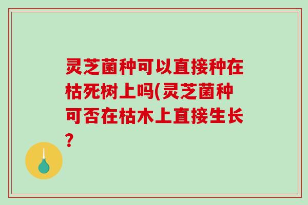 灵芝菌种可以直接种在枯死树上吗(灵芝菌种可否在枯木上直接生长？