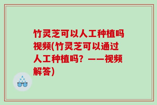 竹灵芝可以人工种植吗视频(竹灵芝可以通过人工种植吗？——视频解答)