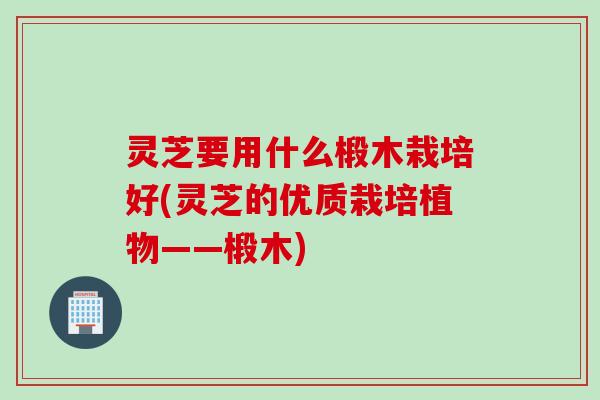 灵芝要用什么椴木栽培好(灵芝的优质栽培植物——椴木)