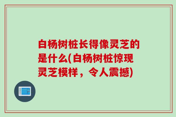 白杨树桩长得像灵芝的是什么(白杨树桩惊现灵芝模样，令人震撼)