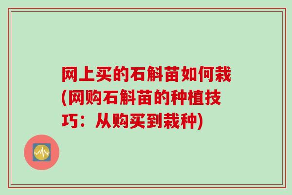 网上买的石斛苗如何栽(网购石斛苗的种植技巧：从购买到栽种)