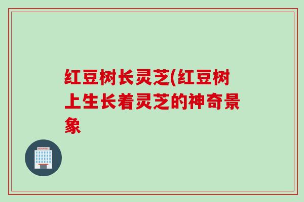 红豆树长灵芝(红豆树上生长着灵芝的神奇景象