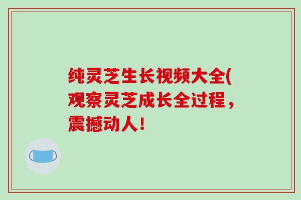 纯灵芝生长视频大全(观察灵芝成长全过程,震撼动人! 纯灵芝生长视频大全(观察灵芝成长全过程,震撼动人!