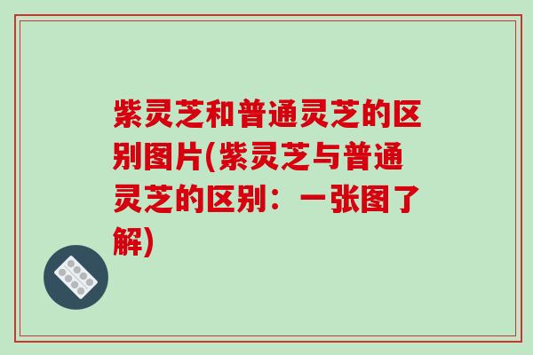 紫灵芝和普通灵芝的区别图片(紫灵芝与普通灵芝的区别：一张图了解)