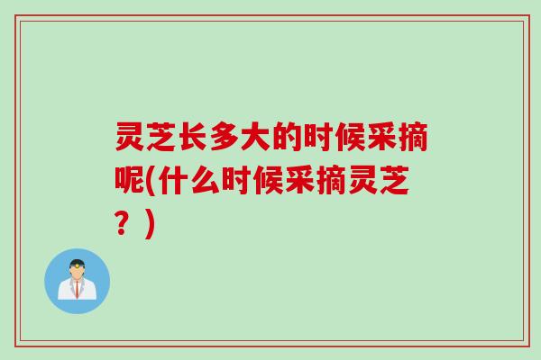 灵芝长多大的时候采摘呢(什么时候采摘灵芝？)