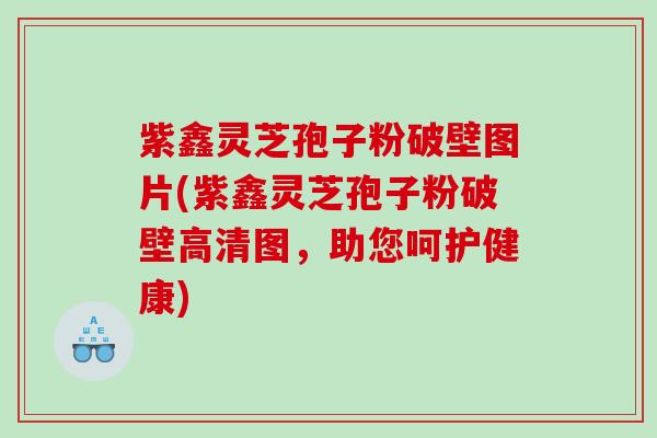 紫鑫灵芝孢子粉破壁图片(紫鑫灵芝孢子粉破壁高清图，助您呵护健康)
