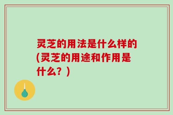 灵芝的用法是什么样的(灵芝的用途和作用是什么？)