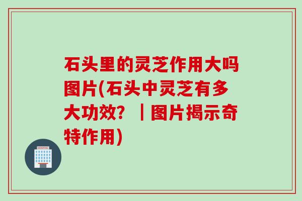 石头里的灵芝作用大吗图片(石头中灵芝有多大功效?|图片揭示奇特作用) 石头里的灵芝作用大吗图片(石头中灵芝有多大功效?|图片揭示奇特作用)