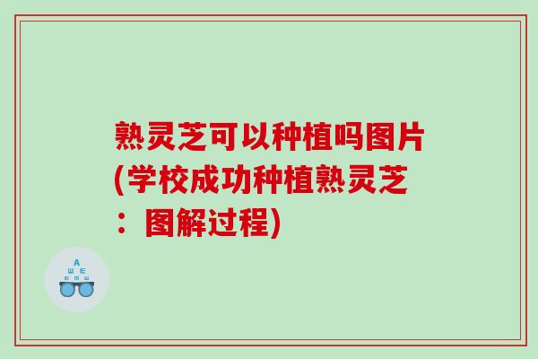 熟灵芝可以种植吗图片(学校成功种植熟灵芝：图解过程)