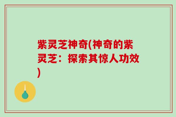 紫灵芝神奇(神奇的紫灵芝：探索其惊人功效)