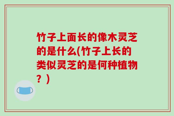 竹子上面长的像木灵芝的是什么(竹子上长的类似灵芝的是何种植物？)