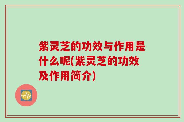 紫灵芝的功效与作用是什么呢(紫灵芝的功效及作用简介)