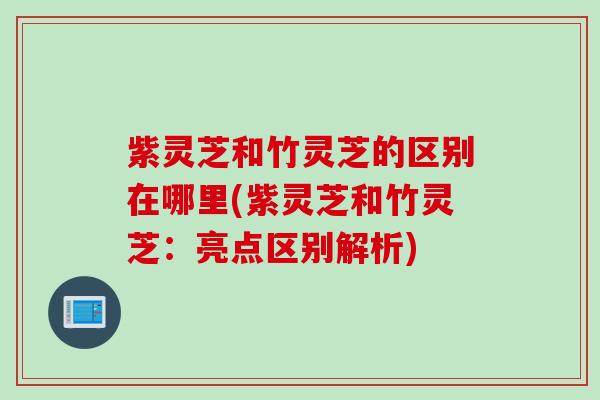 紫灵芝和竹灵芝的区别在哪里(紫灵芝和竹灵芝：亮点区别解析)