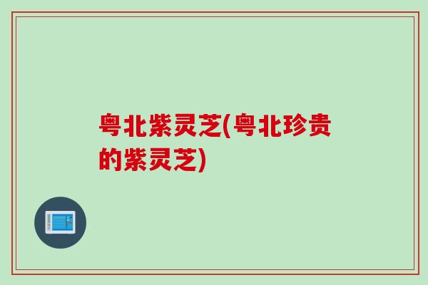 粤北紫灵芝(粤北珍贵的紫灵芝)