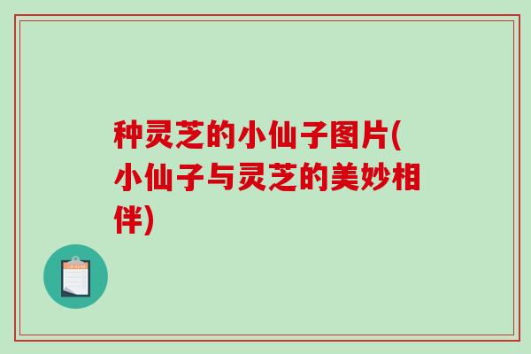 种灵芝的小仙子图片(小仙子与灵芝的美妙相伴)