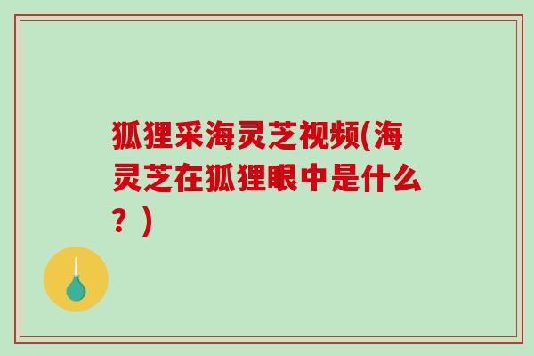 狐狸采海灵芝视频(海灵芝在狐狸眼中是什么？)