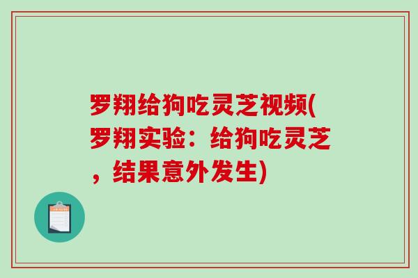 罗翔给狗吃灵芝视频(罗翔实验：给狗吃灵芝，结果意外发生)